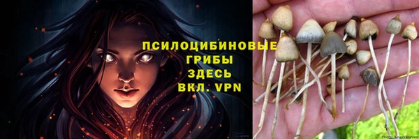 эйфоретик Михайловск
