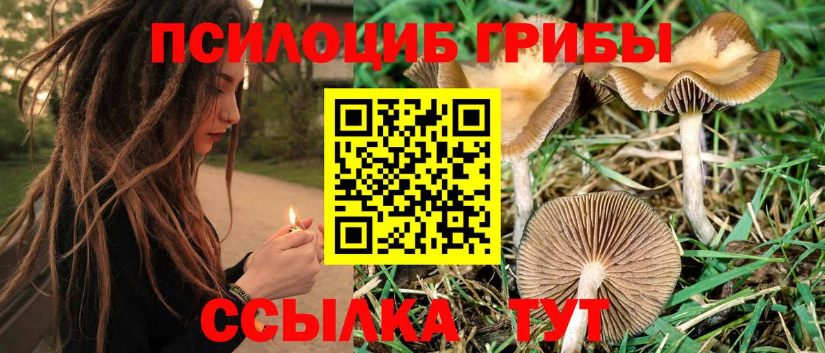 продажа наркотиков  Галлюциногенные грибы Magic Shrooms  Вход с VPN  Канск  Галлюциногенные грибы Psilocybe 